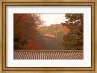 Fall Color around Cable Train Railway, Kyoto, Japan Fine Art Print