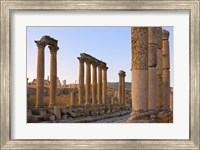 Column street in ancient Jerash ruins, Amman, Jordan Fine Art Print