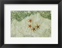 Four Knobby Sea Stars and Small Fish, Kapalai, Malaysia Fine Art Print