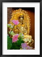 Pink lotus flowers in front of gold statue, Kek Lok Si Temple, Island of Penang, Malaysia Fine Art Print