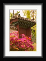 Azaleas, The Deoksugung Palace Complex, Seoul, South Korea Fine Art Print