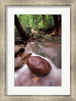 Rainforest Stream, Bako National Park, Borneo, Malaysia Fine Art Print