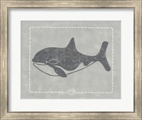 Whale of a Tale II Fine Art Print