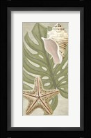 Palm Beach III Framed Print