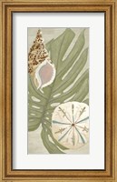 Palm Beach IV Fine Art Print