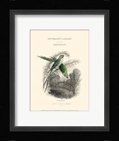 The Naturalist's Library I Fine Art Print