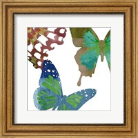 Scattered Butterflies II Fine Art Print