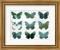 Layered Butterflies I Fine Art Print