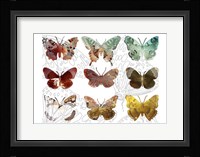 Layered Butterflies II Framed Print