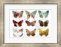 Layered Butterflies II Fine Art Print