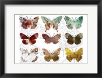 Layered Butterflies II Fine Art Print