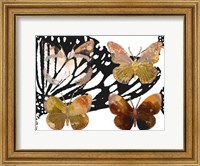 Layered Butterflies III Fine Art Print