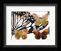 Layered Butterflies III Framed Print