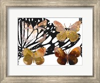 Layered Butterflies III Fine Art Print