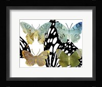 Layered Butterflies IV Framed Print