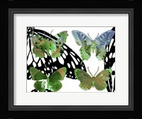 Layered Butterflies V Framed Print