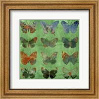 Butterflies on Green Fine Art Print