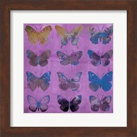 Butterflies on Magenta Fine Art Print