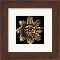 Rosette on Black II Fine Art Print