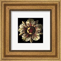 Rosette on Black III Fine Art Print