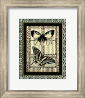 Small Butterfly Fancy I Fine Art Print