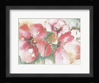 Soft Poppies II Fine Art Print