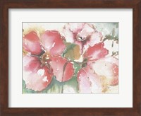 Soft Poppies II Fine Art Print
