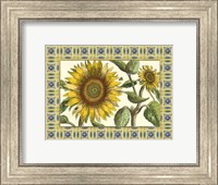 Classical Sunflower I Fine Art Print