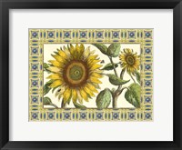 Classical Sunflower I Framed Print