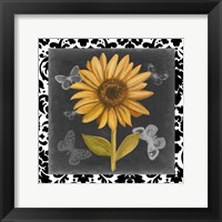 Ornate Sunflowers II Framed Print