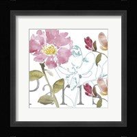 Paris by Day II Framed Print