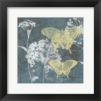 Indigo & Wings II Framed Print