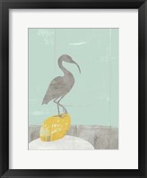 Heron Collage II Fine Art Print