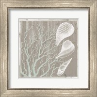 Seaboard II Fine Art Print