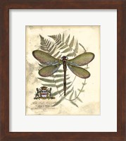 Regal Dragonfly II Fine Art Print