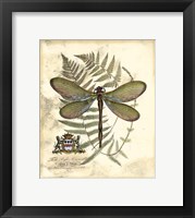 Regal Dragonfly II Fine Art Print