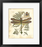 Regal Dragonfly III Fine Art Print
