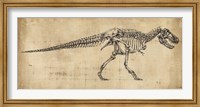 Tyrannosaurus Rex Study Fine Art Print