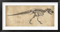Tyrannosaurus Rex Study Fine Art Print