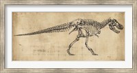 Tyrannosaurus Rex Study Fine Art Print