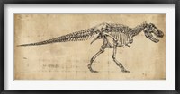 Tyrannosaurus Rex Study Framed Print
