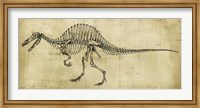 Spinosaurus Study Fine Art Print