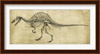 Spinosaurus Study Fine Art Print