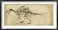 Spinosaurus Study Fine Art Print