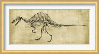 Spinosaurus Study Fine Art Print