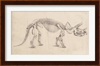 Dinosaur Study II Fine Art Print