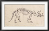 Dinosaur Study II Fine Art Print