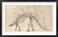 Dinosaur Study III Framed Print