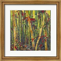 Bamboo Grove I Fine Art Print