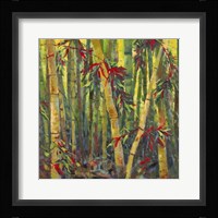 Bamboo Grove I Fine Art Print